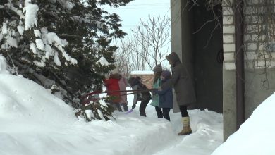 Лидский районный экологический центр детей и молодежи поддержал челендж "Уберем снег вместе"