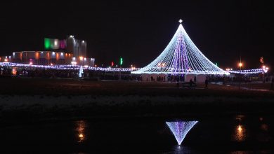 Участвуйте в открытом голосовании за лучшую новогоднюю елку в районах Гродненской области